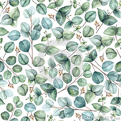 Eucalyptus pattern Stock Photo