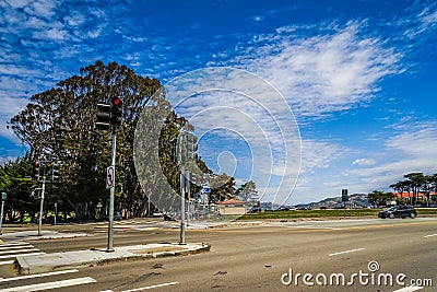 Eucalyptus in San Francisco Stock Photo