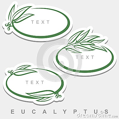 Eucalyptus set. Collection eucalyptus leaves frame. Vector Cartoon Illustration
