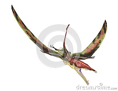 Eudimorphodon flying prehistoric reptile, photorealistic representation. Dynamic view. Stock Photo