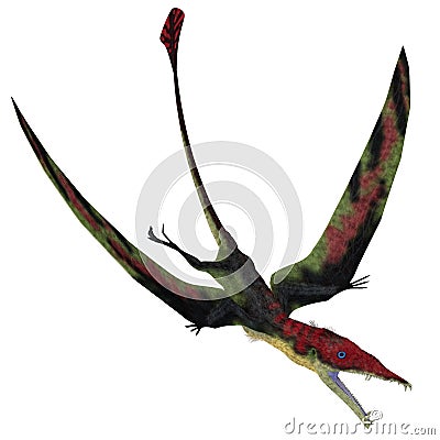 Eudimorphodon Pterosaur Diving Stock Photo