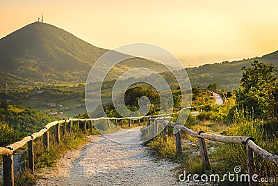 Euganean hills colli euganei yellow sunset Pianoro del Mottolone trail Padua It Stock Photo
