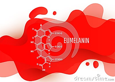 Eumelanin chemical molecule structure with red liquid fluid gradient shape with copy space on white background Vector Illustration