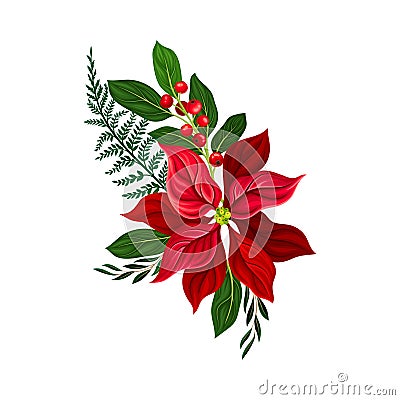 Euphorbia Red Flower Arranged with Red Currant Twigs and Green Branches Vector Illustration Vector Illustration