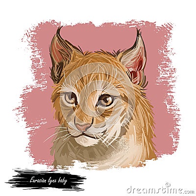 Eurasian lynx baby, medium-sized wild cat from Europe, Central Asia. Digital art illustration of lynx-lynx animal hand drawn Cartoon Illustration