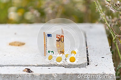 50 euro banknote resting with daisy flowers Stock Photo