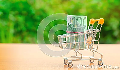 Euro banknotes in a supermarket trolley. Money Management. Money market. Sale, discounts and low prices. Gift certificate for Stock Photo