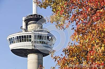 Euromast and sweet gum tree Editorial Stock Photo