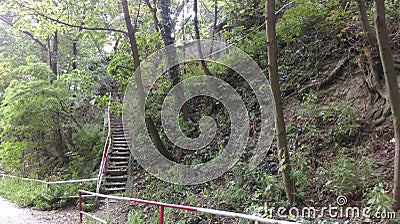 Stairs in the woods Stock Photo