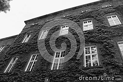 European classic building with squared windows bottom view in black and white. Stock Photo