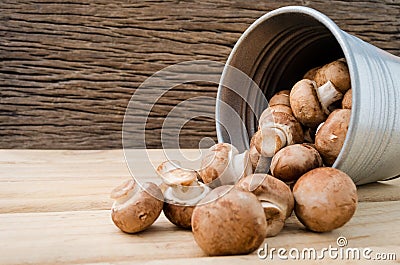 European food concept mushroom soup with champignon set up with brown background. Champignon mushroom or Button mushroom they are Stock Photo