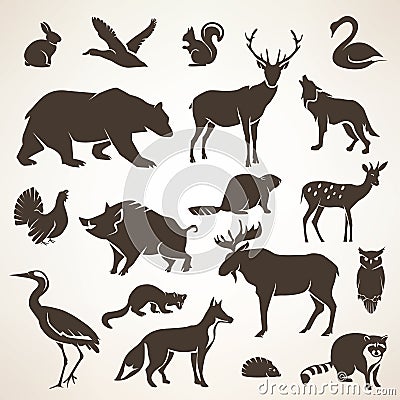 European forrest wild animals collection Vector Illustration