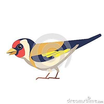 European goldfinch is a small passerine bird in the finch family. British Finches Bird cartoon flat style beautiful Vector Illustration