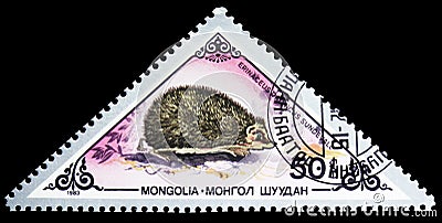 European Hedgehog Erinaceus europaeus, Various mammals serie, circa 1983 Editorial Stock Photo