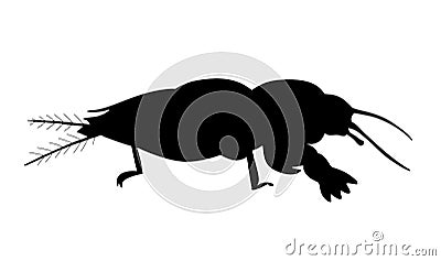 European mole cricket. Black hand drawing silhouette vector image. Vector Illustration