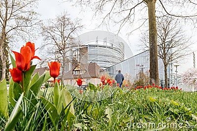 European PArliament building and red spring tulips Editorial Stock Photo