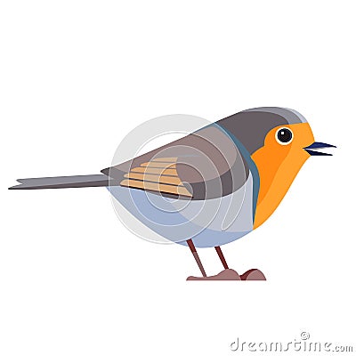 European robin is a small insectivorous passerine bird that belongs to the chat subfamily flycatcher family. Bird Vector Illustration
