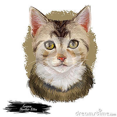 European shorthair cat isolated on white background. Digital art illustration of hand drawn playful mammal for web icon. Head of Cartoon Illustration