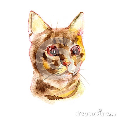 European shorthair cat red tabby, kitten lies on white background, isolated, hand draw watercolor painting. Cartoon Illustration