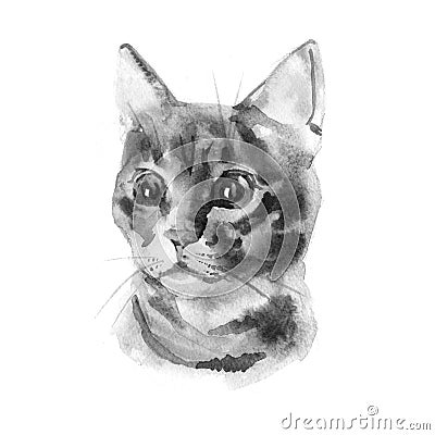 European shorthair cat red tabby, kitten lies on white background, isolated, hand draw watercolor painting. Cartoon Illustration