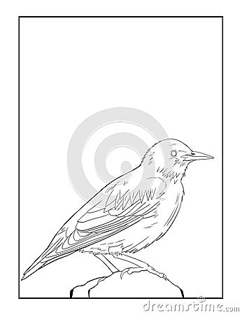European Starling Bird, Vector Bird Coloring page Vector Illustration