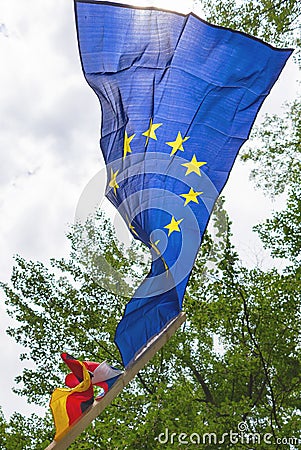 European Union EU flag in forest nature outdoor tree, czech german border Stock Photo
