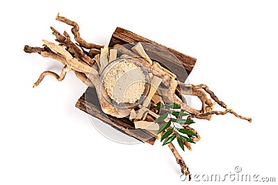 Eurycoma longifolia Jack,dried roots ,green leaves and powder isolated on white background.top view ,flat lay Stock Photo