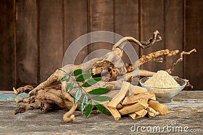 Eurycoma longifolia Jack,dried roots,green leaves and powder on an old wooden background Stock Photo