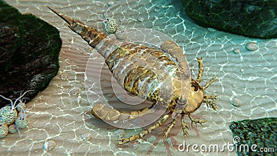 Eurypterid Exploring Seafloor (Sea Scorpion) Cartoon Illustration