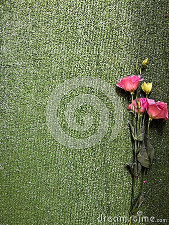 Eustoma background. Pink eustoma on green background Stock Photo