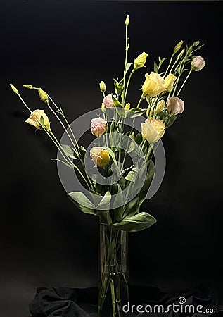 Eustoma is the magic of beauty, refinement, fragility, lightness like the wind Stock Photo