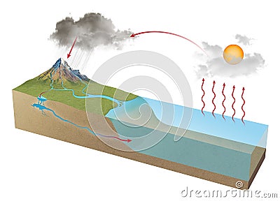 There are four main stages in the water cycle. Stock Photo