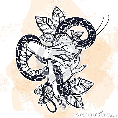 Eve`s hands with forbidden fruit and snake. Hand-drawn tattoo art. Element of a Biblical story of Eve. Vector art . Vector Illustration