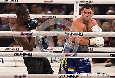 Evening of Boxing in the Palace of Sports in Kyiv Editorial Stock Photo