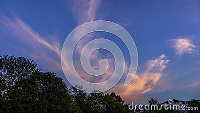 Evening cloudscape with pink tint and trees Stock Photo
