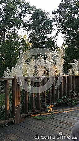 Evening deck Stock Photo