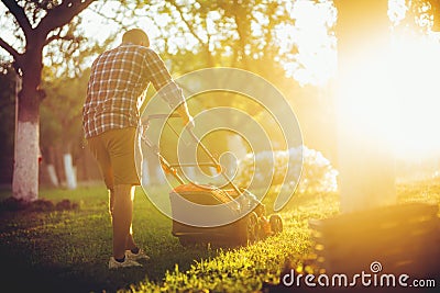 Evening details of industrial gardening and landscaping. Caucasian Gardener working with lawnmower and cutting grass Stock Photo