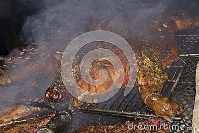 Full Pig Roast Stock Photo