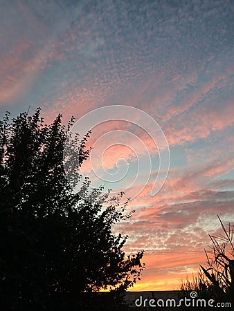 Evening glow Editorial Stock Photo