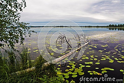 Evening Lake Stock Photo