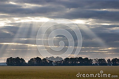 Evening landscape Stock Photo