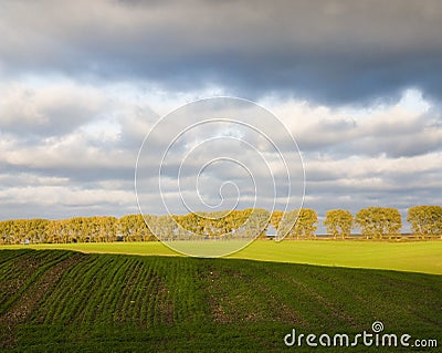 Evening landscape Stock Photo