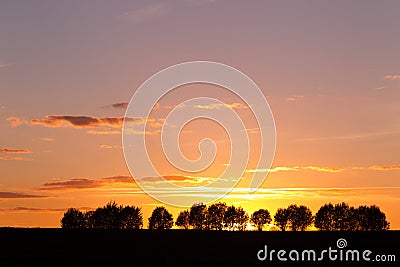 Evening landscape with silhouettes of trees against the sky with Stock Photo