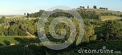 Evening light on a Tuscan hillside Stock Photo