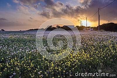 Evening in Nubia on Sicily Stock Photo