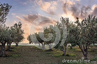 Evening in Nubia on Sicily Stock Photo