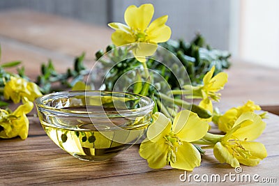 Evening primrose oil in a glass bowl Stock Photo