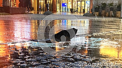 Evening rainy city people under umbrella in rain drops on asphalt walk car traffic light blurred light light rainy weather rain dr Editorial Stock Photo