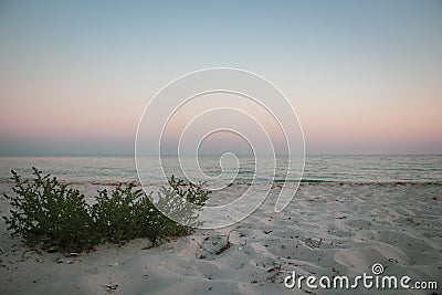 Evening seascape with dramatic sky and grass on beach. Summer nature. Scenic sunset sky over island beach. Tranquility concept. Stock Photo