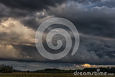 Evening Stormy Cloudy Blue Gray Sky. Use it As a Background. Forest in foreground. Stock Photo